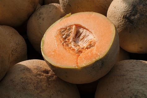 CDC: Don't eat pre-cut cantaloupe from unknown source amid deadly salmonella outbreak